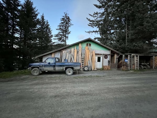 The Best Camera Is 100% the One You Have With You